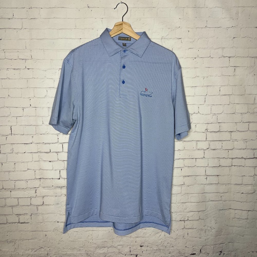 Men's Peter Millar Summer Comfort Short Sleeve Blue Striped Golf Polo Medium - Picture 1 of 8